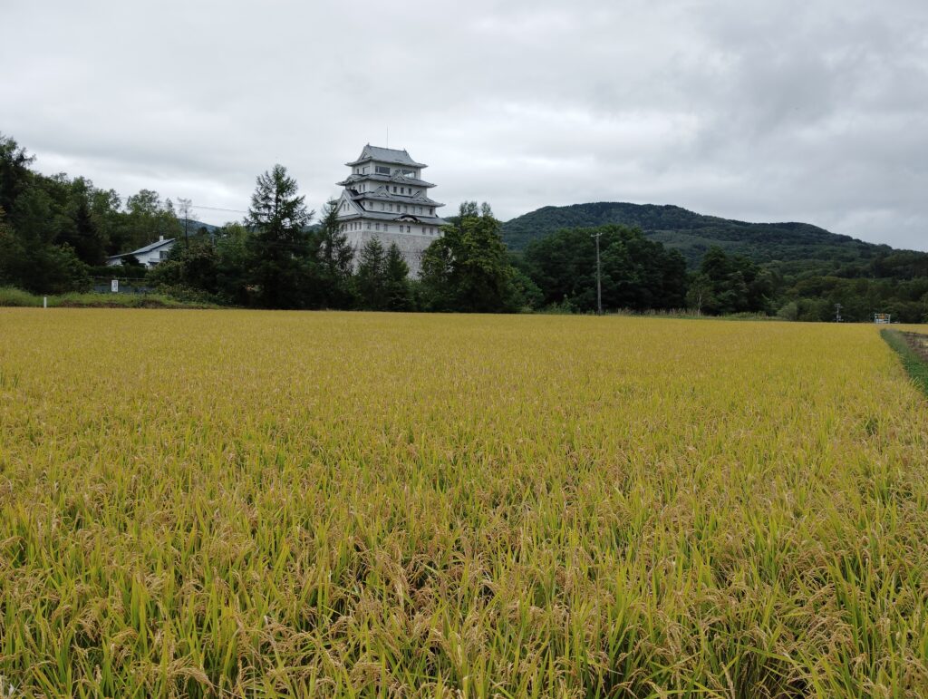 ご無沙汰してます