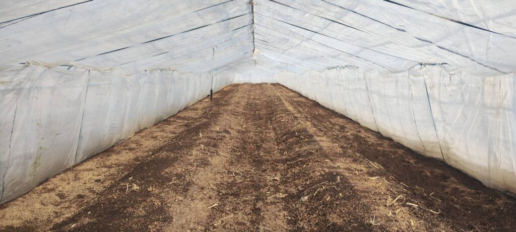 作業進んでます