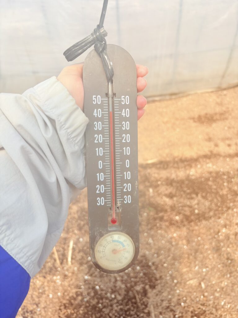 お支払いにつきまして