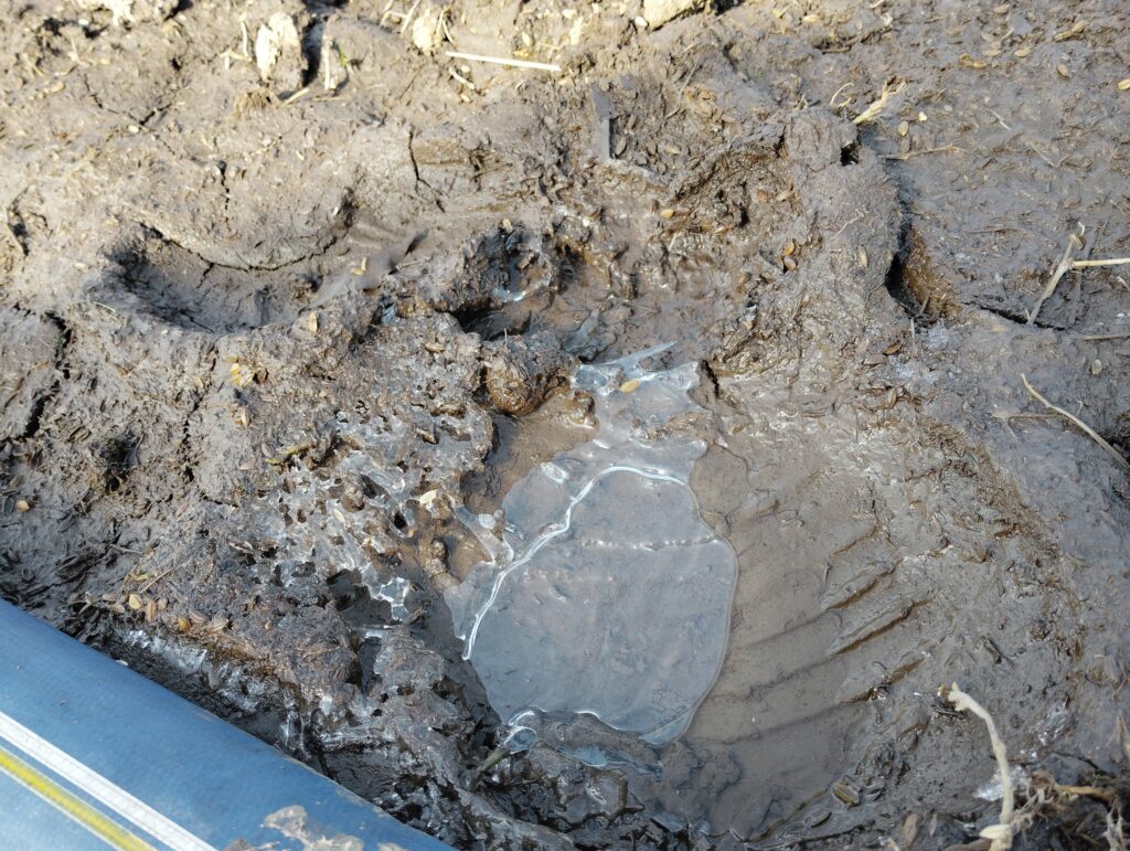 アスパラ発送状況です