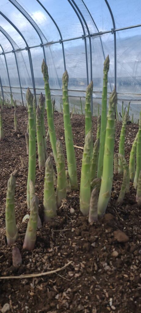 第一弾爆発日!!