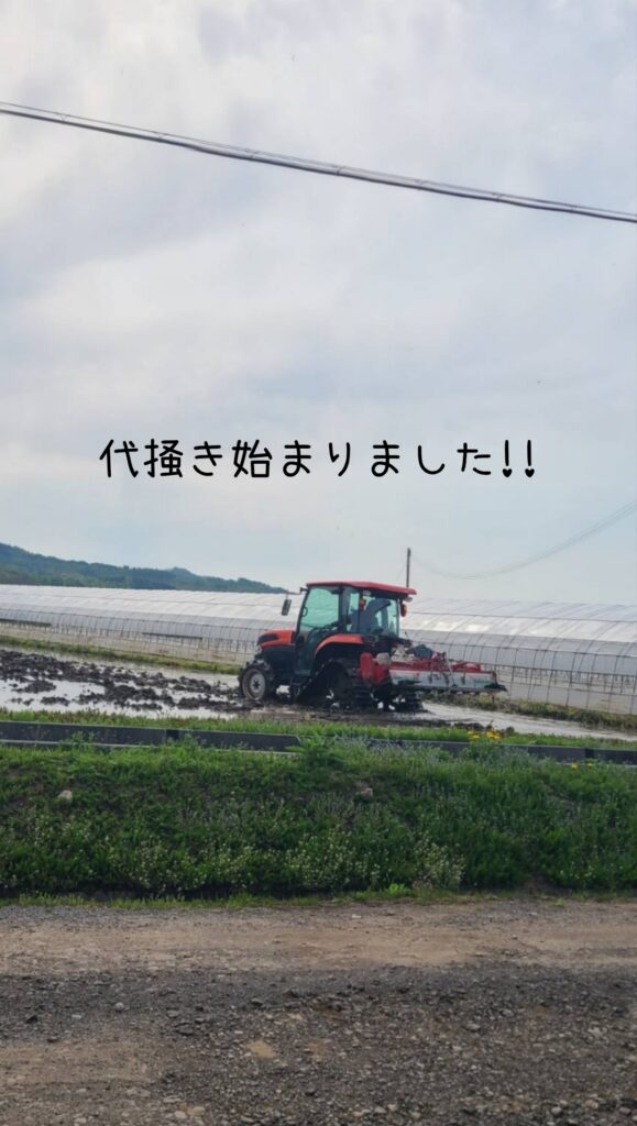 田んぼ代掻き始まりました