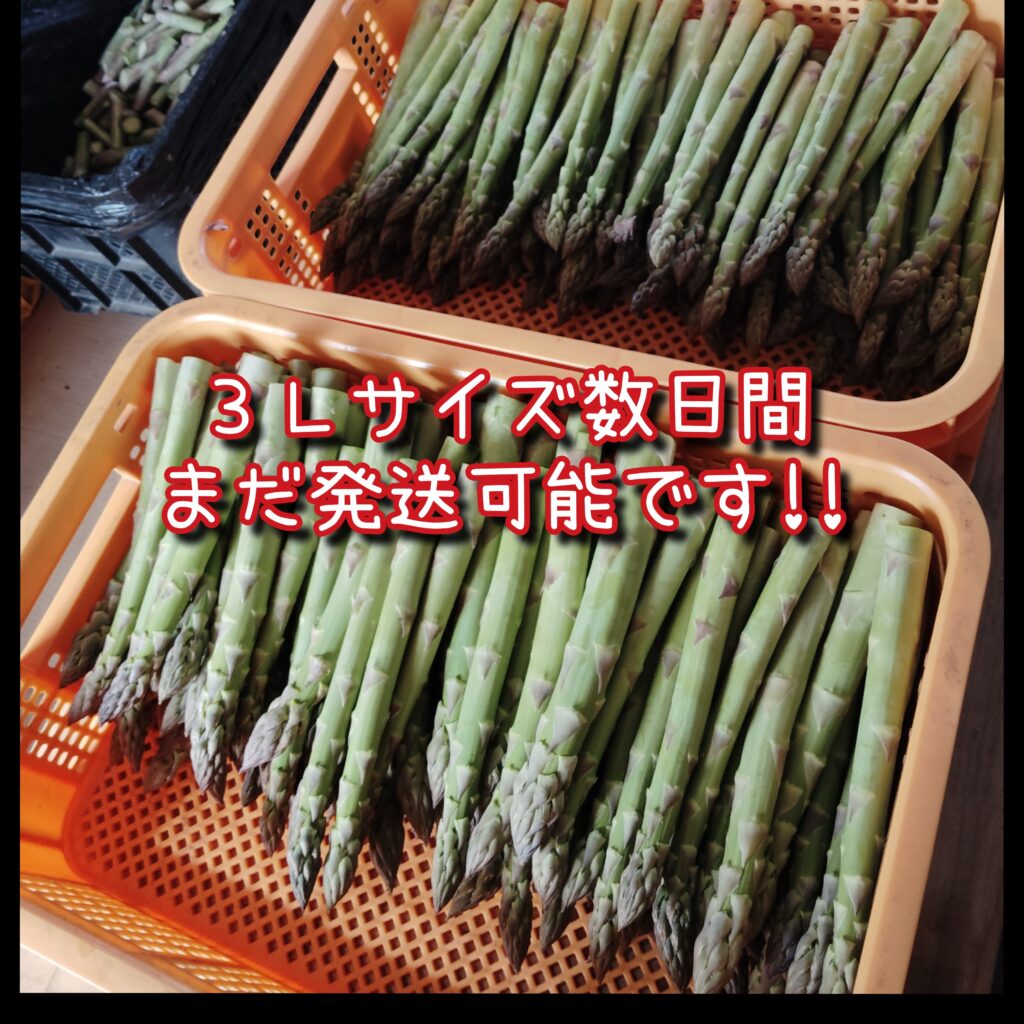 極太サイズ余力あります