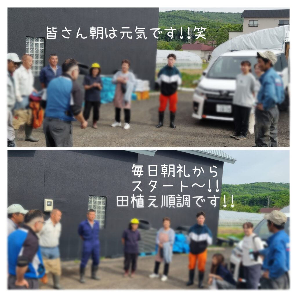 田植え順調です