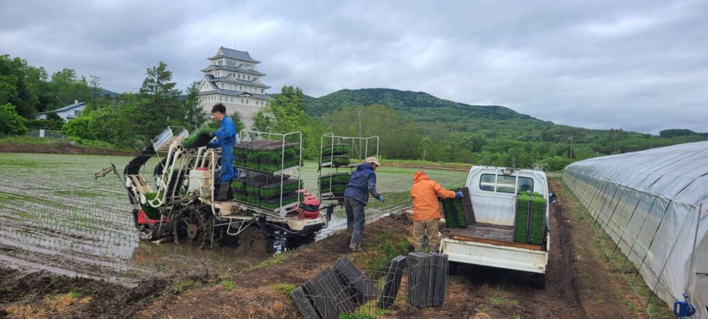 田植え終了しました