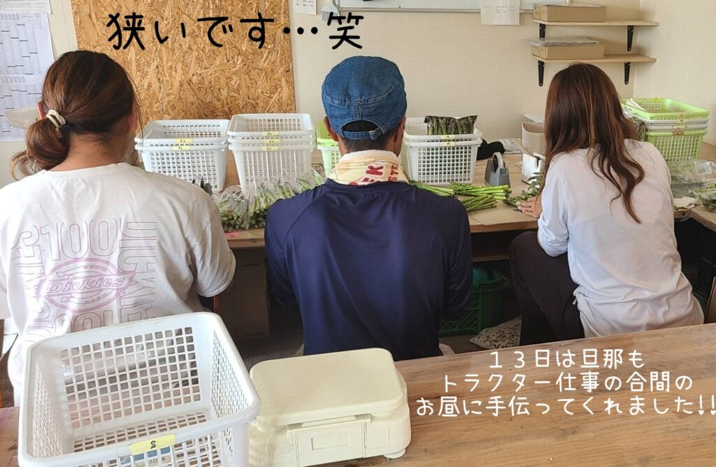アスパラ終了